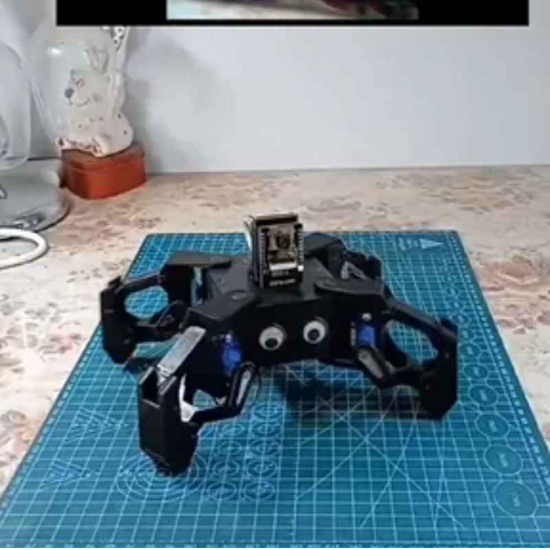 SG90 Video Robot Spider with C - огляд і ціна Esp8266